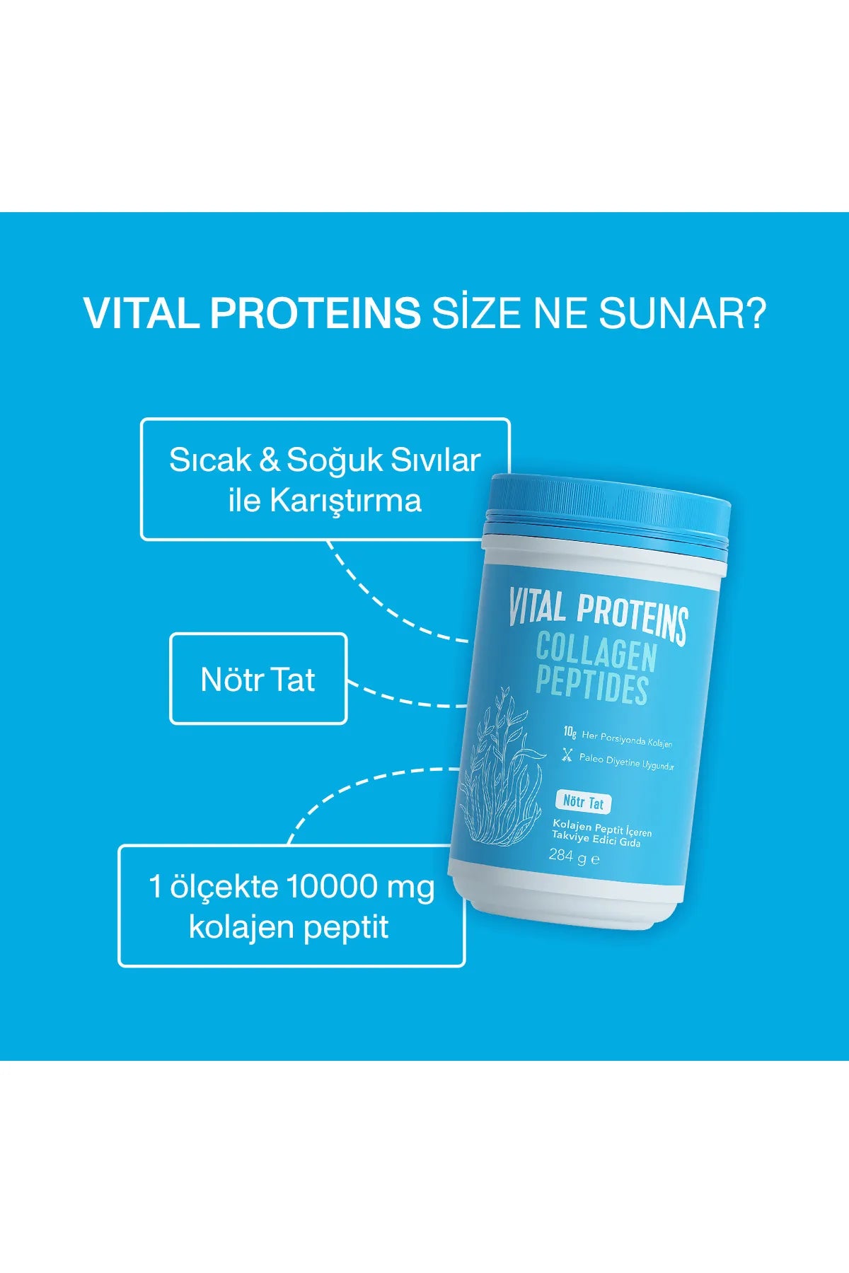 Vital Proteins Collagen Peptides Powder – Type I & III for Muscle, Skin & Hair Support (284g)