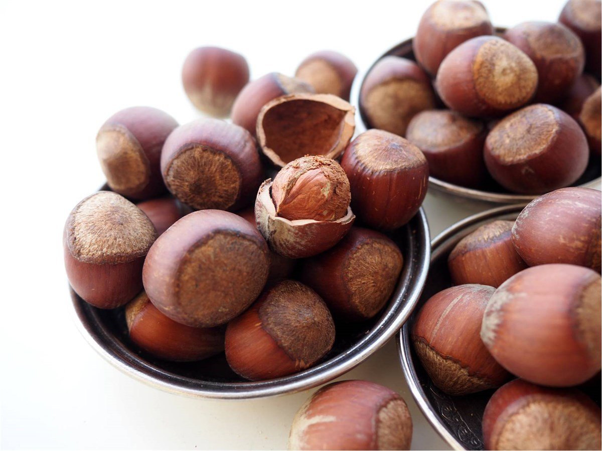 Raw Shelled Hazelnuts
