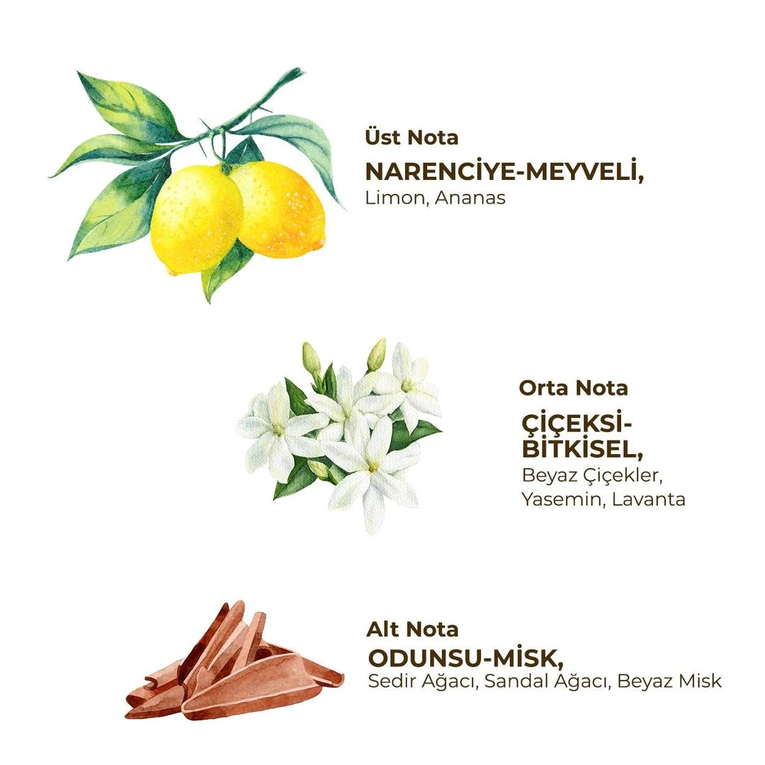 أيوب صبري تونجر – مزيل عرق رول أون للنساء فريش